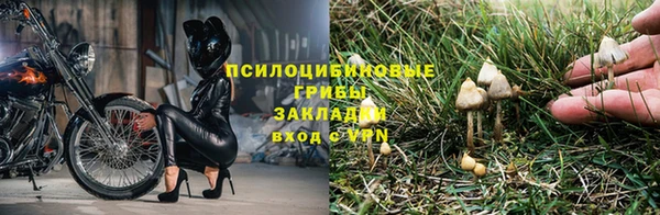 МДМА Белокуриха