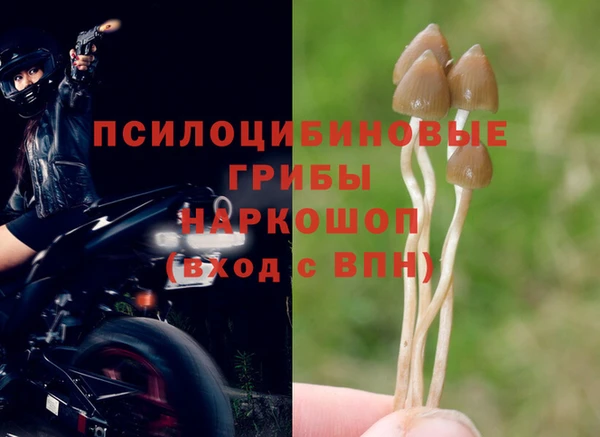МДМА Белокуриха