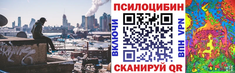 Галлюциногенные грибы GOLDEN TEACHER Борзя